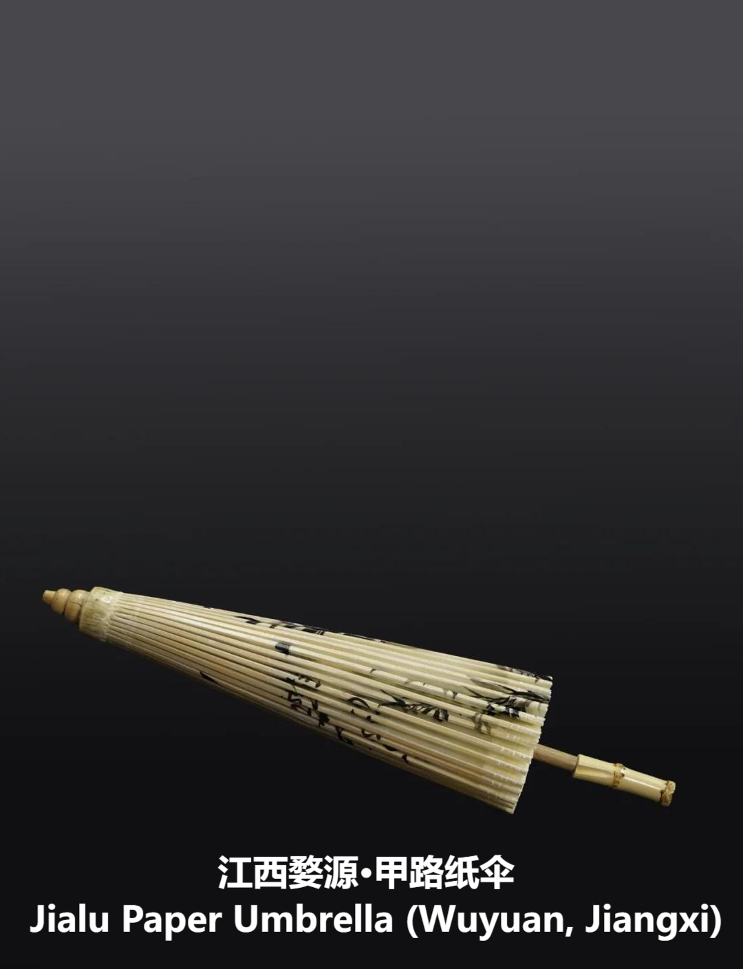 Oil paper umbrella /油纸伞